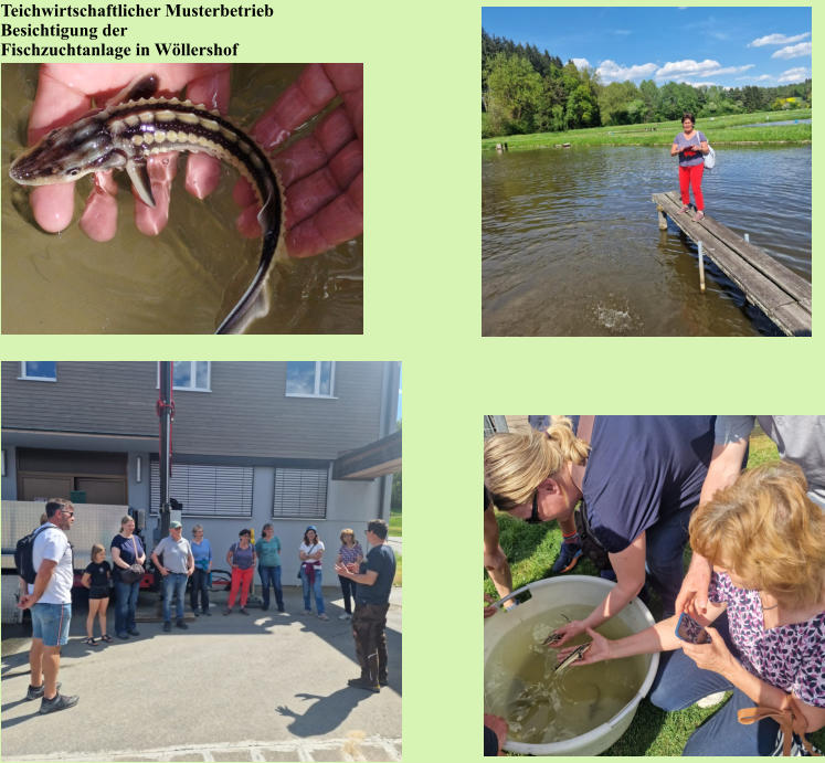 Teichwirtschaftlicher Musterbetrieb  Besichtigung der  Fischzuchtanlage in Wöllershof